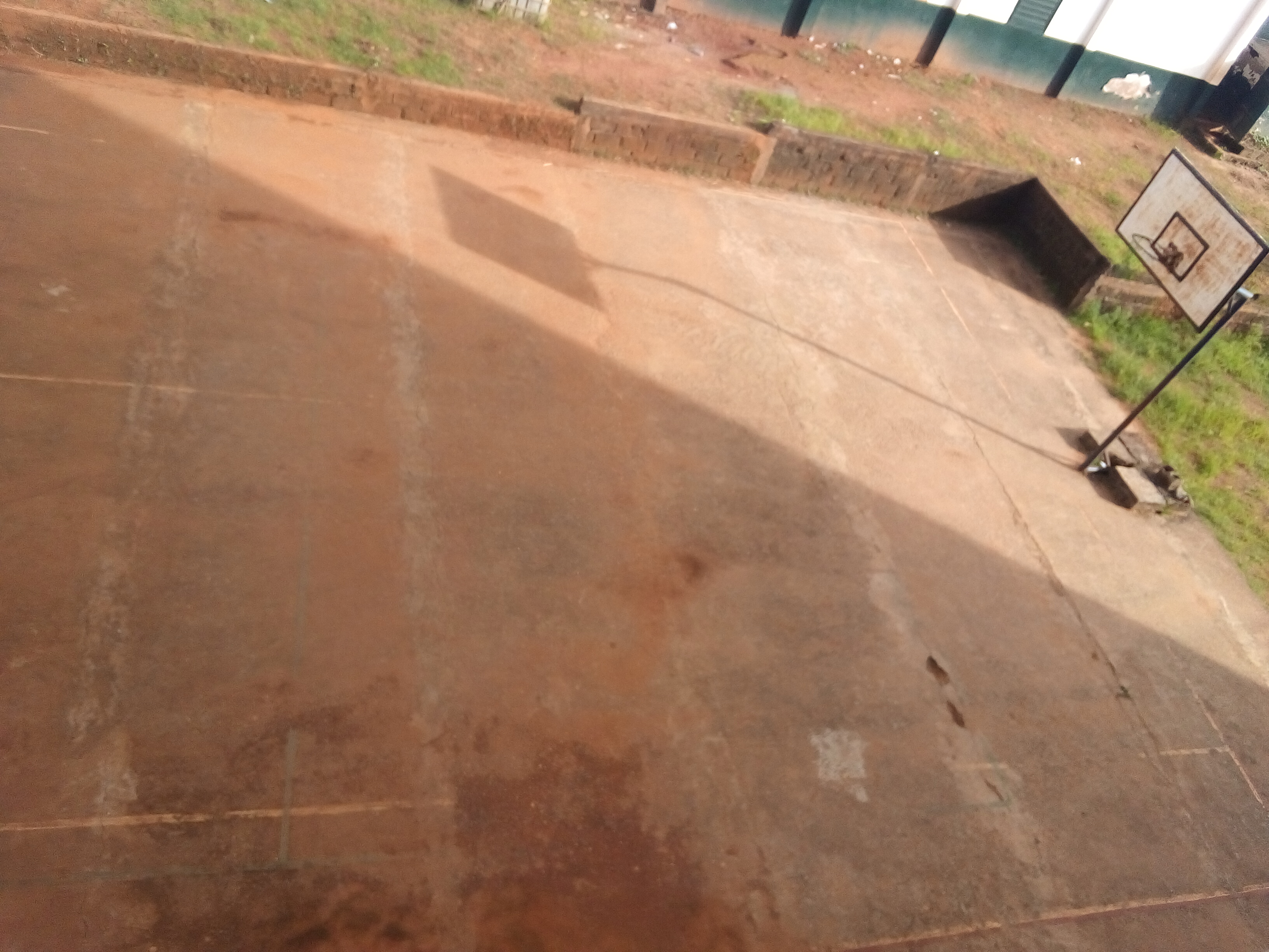 IMG_20231120_155944_556