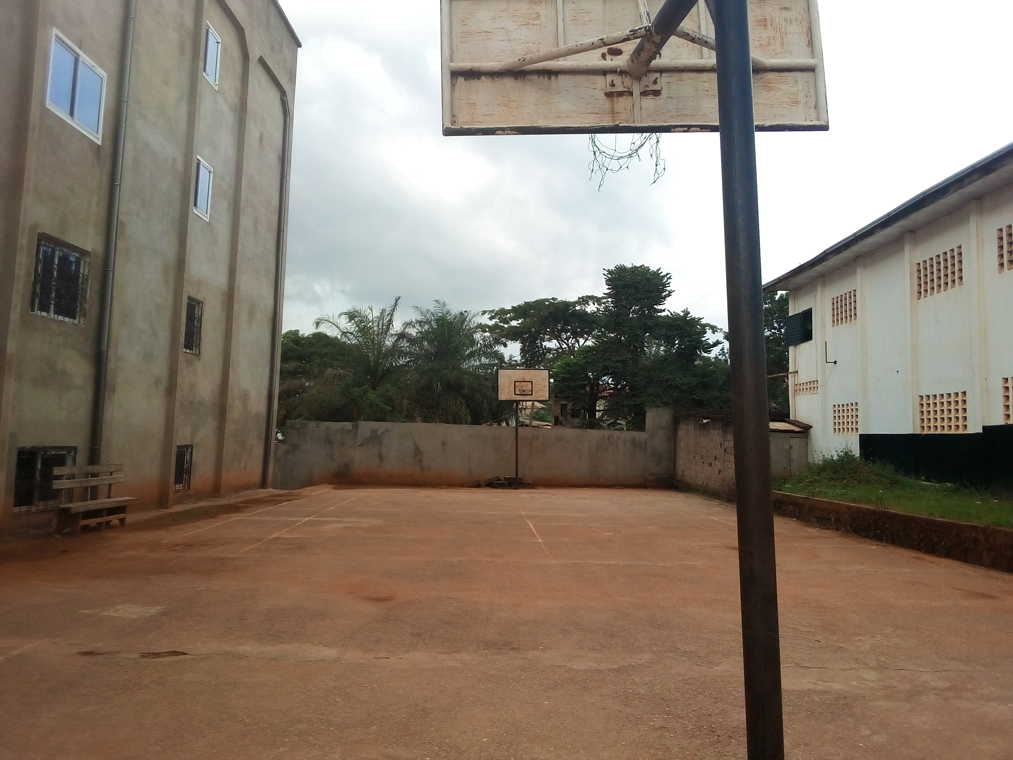 IMG_20231120_160407_677